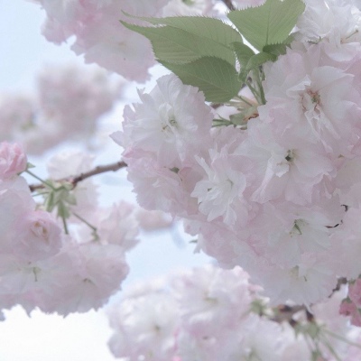 资溪FurryQQ群介绍